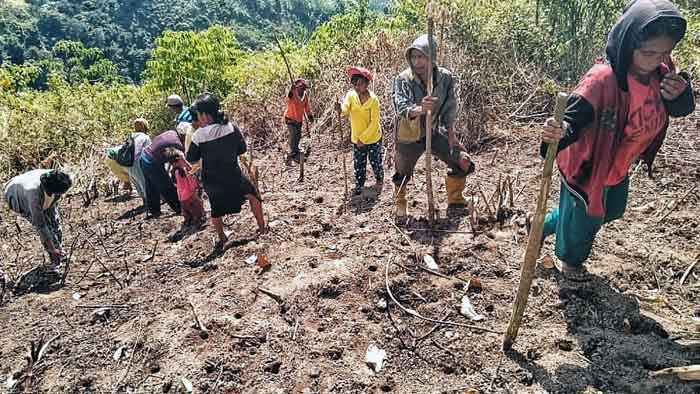 Puncak Kemarau Mengancam, Ini Langkah Kementan Jaga Produksi Padi